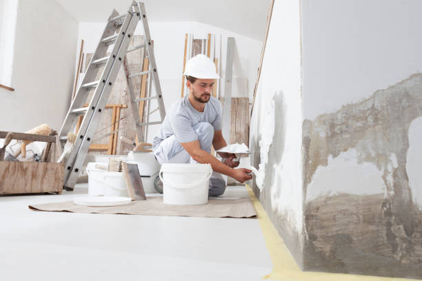 Fleetwood, PA Mold Removal Company